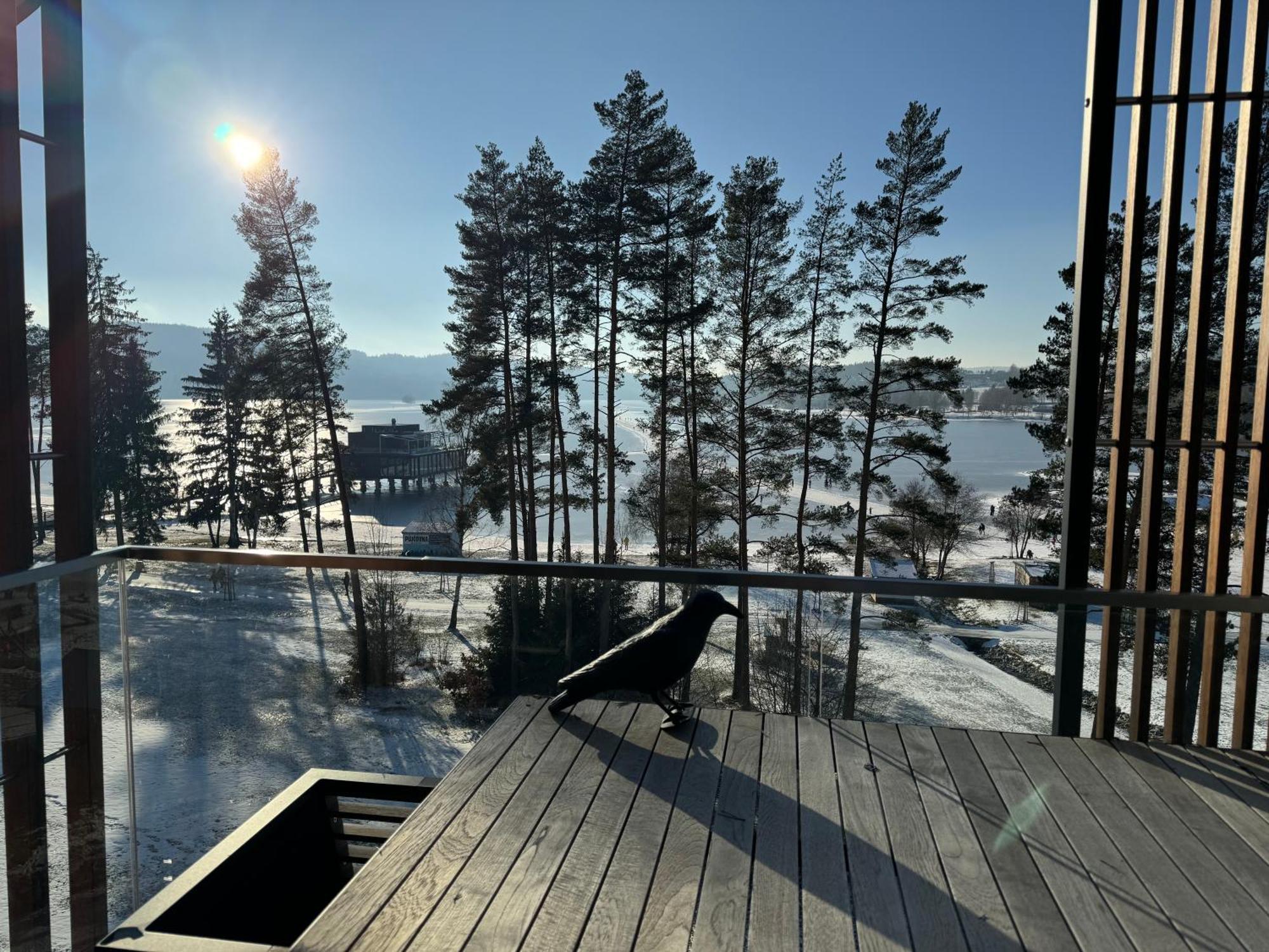 Apartment Molo Lipno Luxusni 4kk